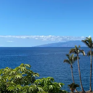 Las Flores Studio 5 Playa de las Americas (Tenerife)